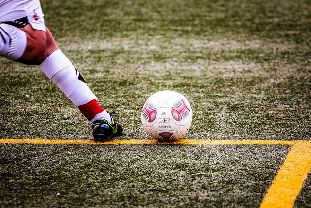 诺维奇的连 诺维奇的连