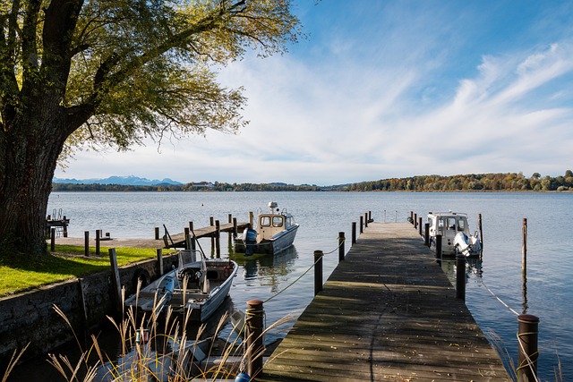 美洲杯中走 美洲杯中走