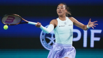 布雷尔在法 布雷尔在法