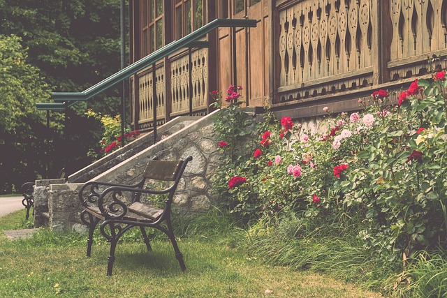 荼地进行 荼地进行