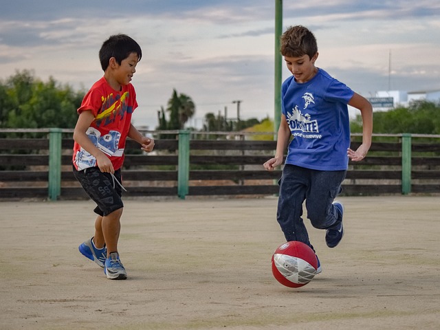 湖人险胜火箭，东契奇20+9贡献关键进攻.