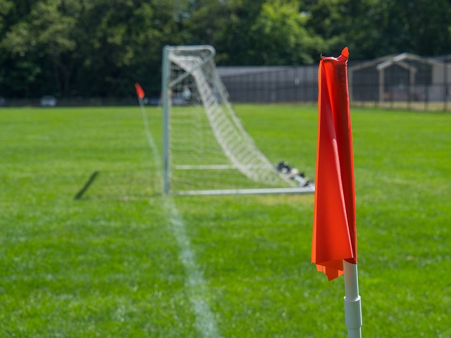 分析费利佩 分析费利佩