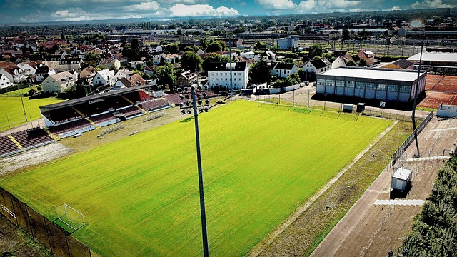 已经成为狼 已经成为狼