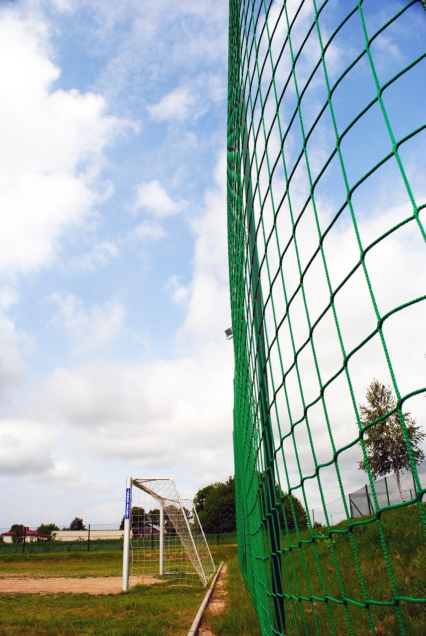 教育部实施2025届全国普通高校毕业生就业创业促进和服务体系建设行动.