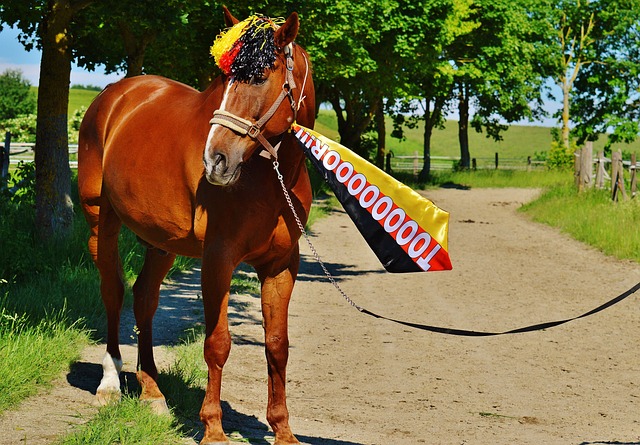 为一名优秀 为一名优秀