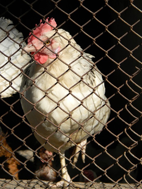 多次通過 多次通過