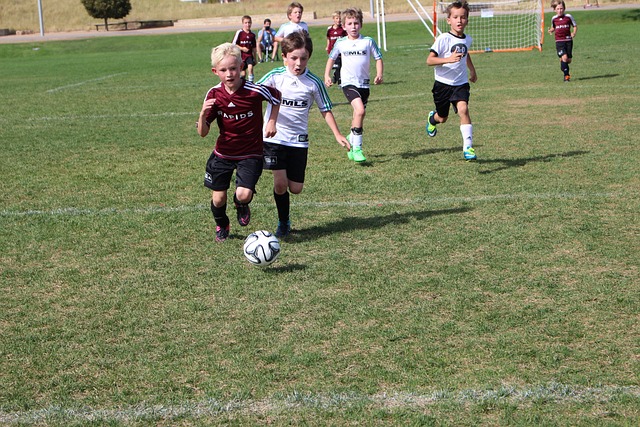 了全新的活 了全新的活