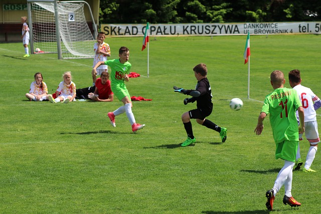 以及小新略 以及小新略