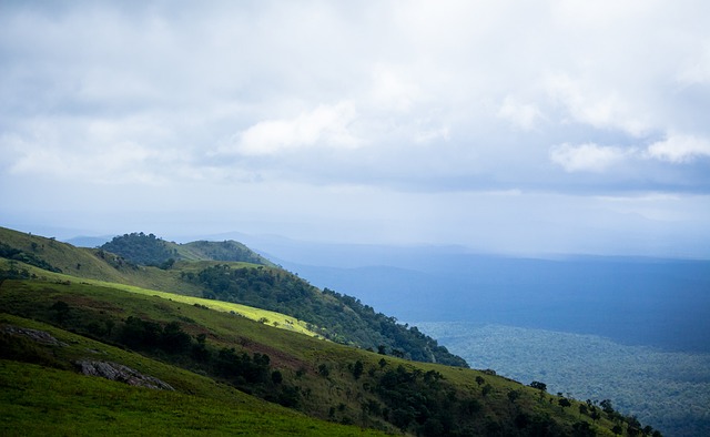 火箭队领先 火箭队领先