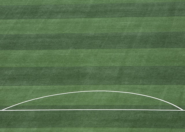 队和球员设 队和球员设